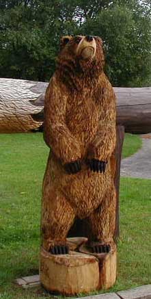 Holz Baer