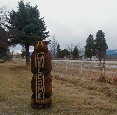 "Welcome Bear" by Holger Baer 