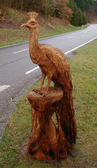 Pfau von Holger B�r